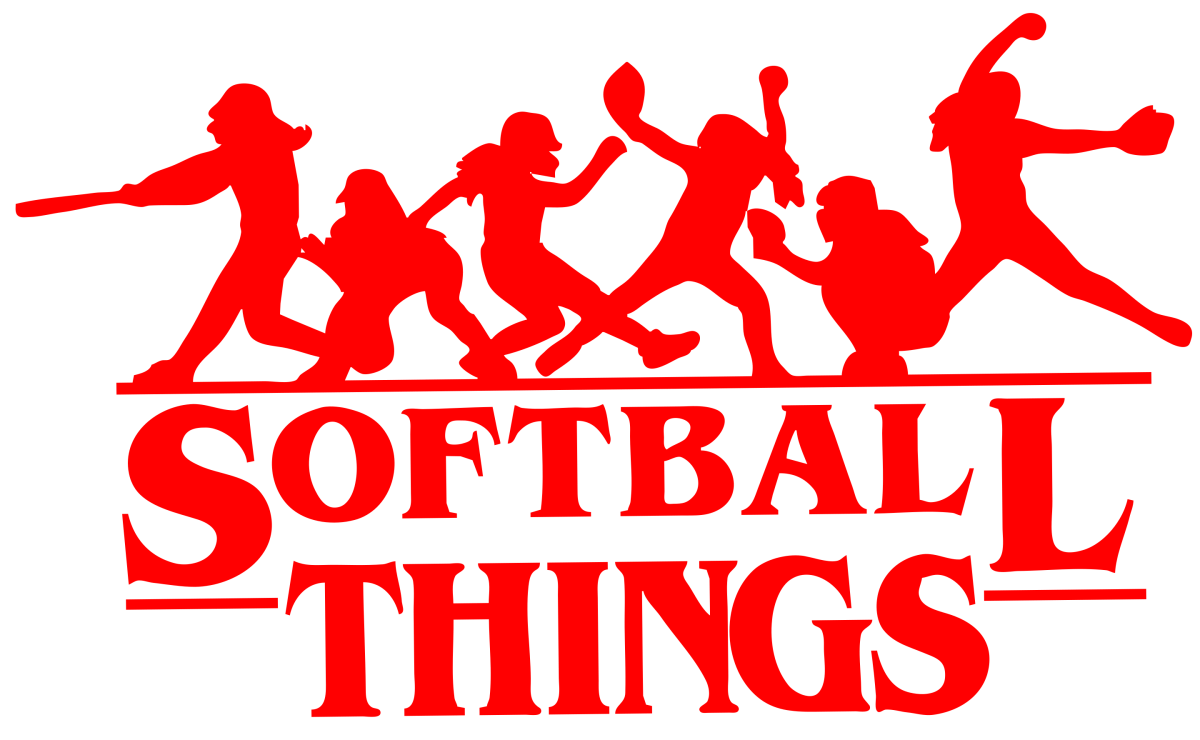 Softball Things Swing for the Ring Hoodie